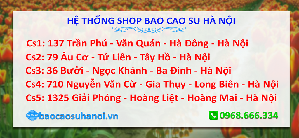 shop-bao-cao-su-uy-tín-ở-hà-đông