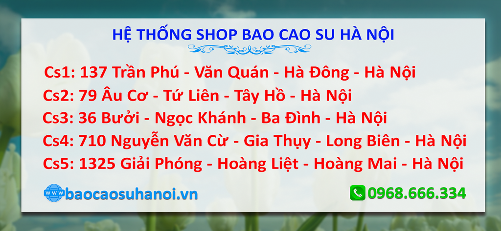 shop-bao-cao-su-uy-tín-ở-hoàn-kiếm