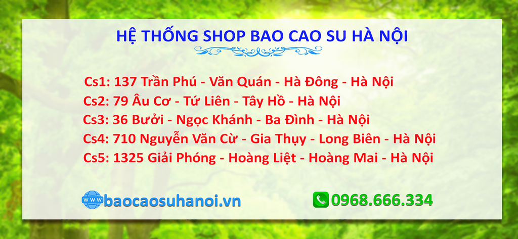 shop-bao-cao-su-uy-tín-ở-quốc-oai