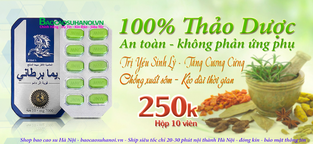 thuốc-cường-dương-ngựa-thái-chính-hãng-ở-từ-liêm