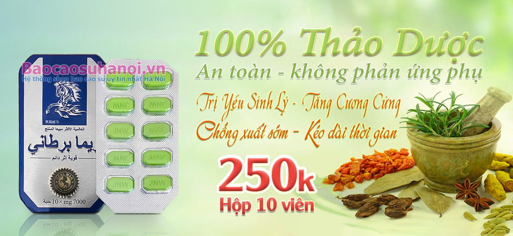thuốc-cường-dương-ngựa-thái-ở-hà-giang