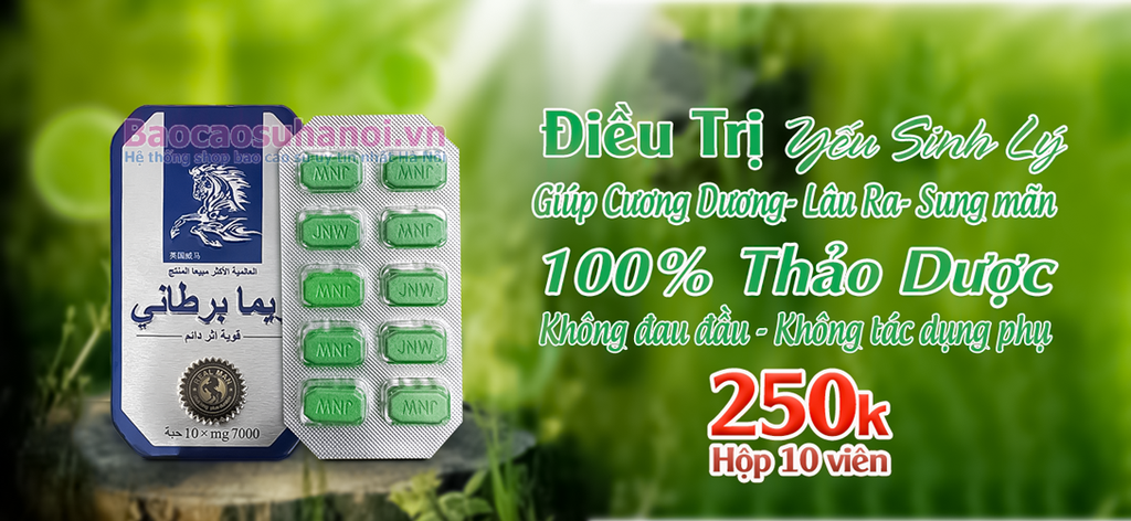 thuốc-ngựa-thái-chính-hãng