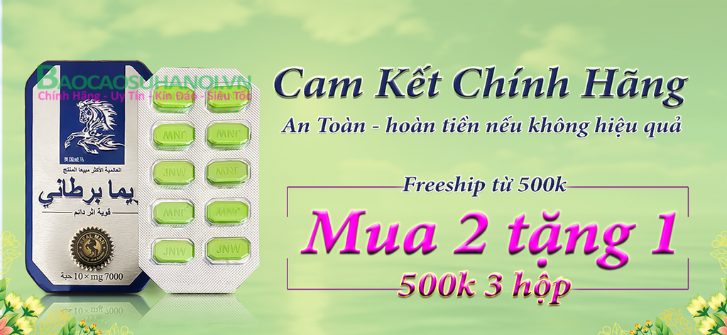 thuốc-ngựa-thái-chính-hãng-bắc-ninh