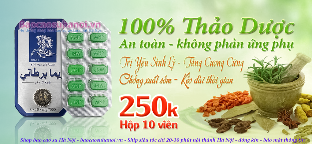 thuốc-ngựa-thái-chính-hãng-hà-nội