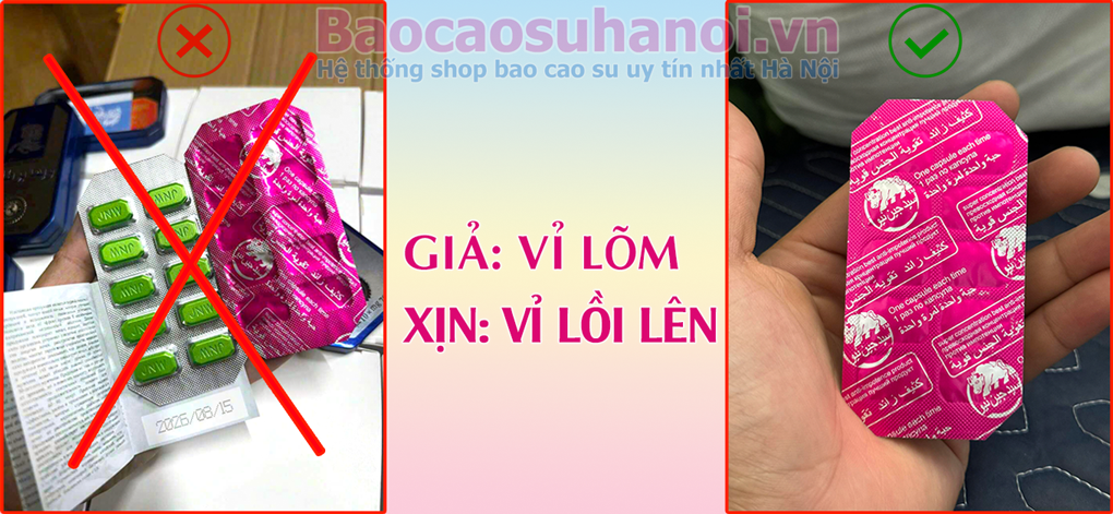 thuốc-ngựa-thái-giả