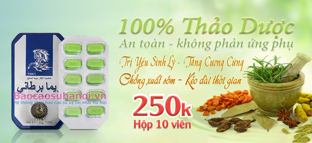 thuốc-ngựa-thái-ở-bắc-kạn