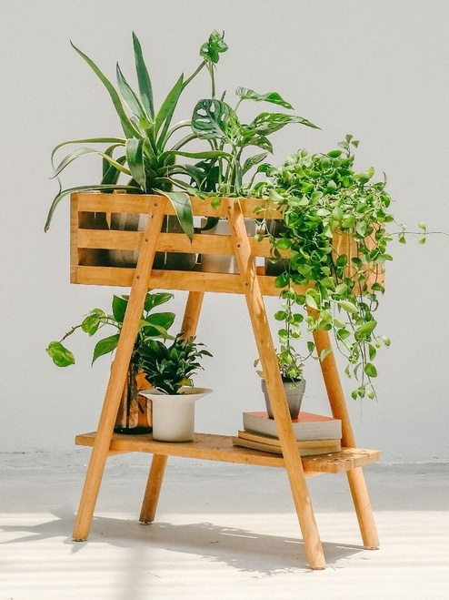 ANhome Plant Decoration - Kệ chữ A 2 tầng 650:750 cm