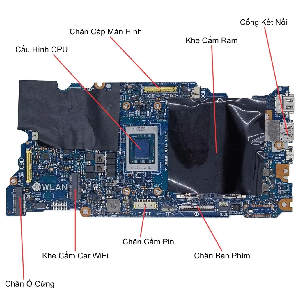 Main Dell Inspiron 5515 | CPU R5 5500U | 203076-1
