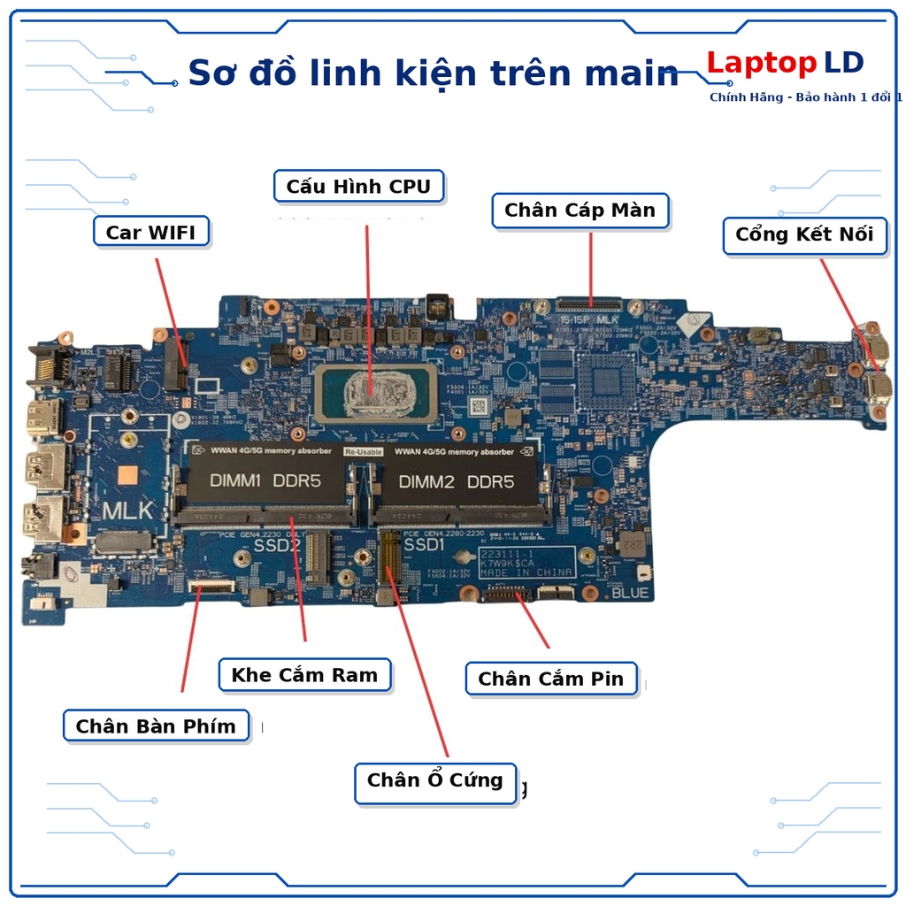 Main Dell Latitude 5550 | Core Ultra 5 135U | 223111-1