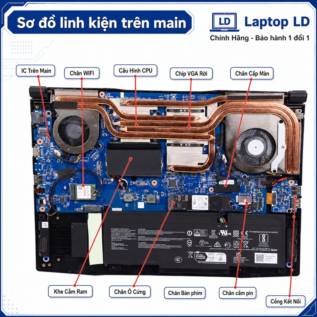 Main MSI Gaming Katana A15 AI B8VG | CPU R7 8845HS