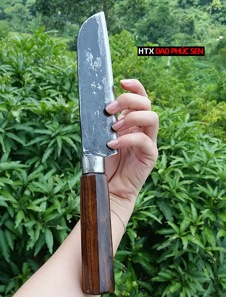 Dao thái gọt sắc bén - Thép nhíp ô tô - Cán gỗ tự nhiên khâu inox - N08 | DAO VIP - HTX DAO PHÚC SEN