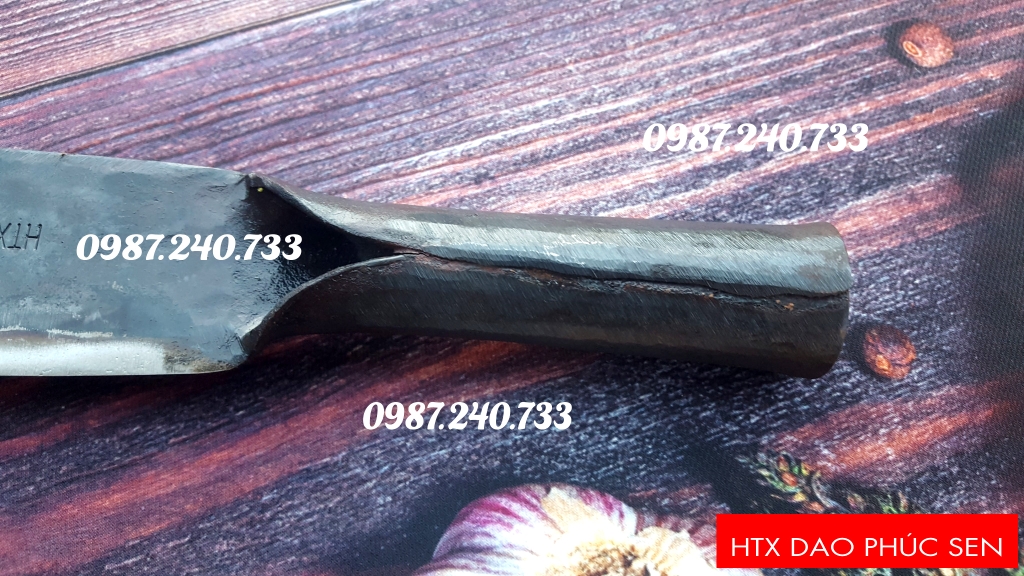 Dao tông S07