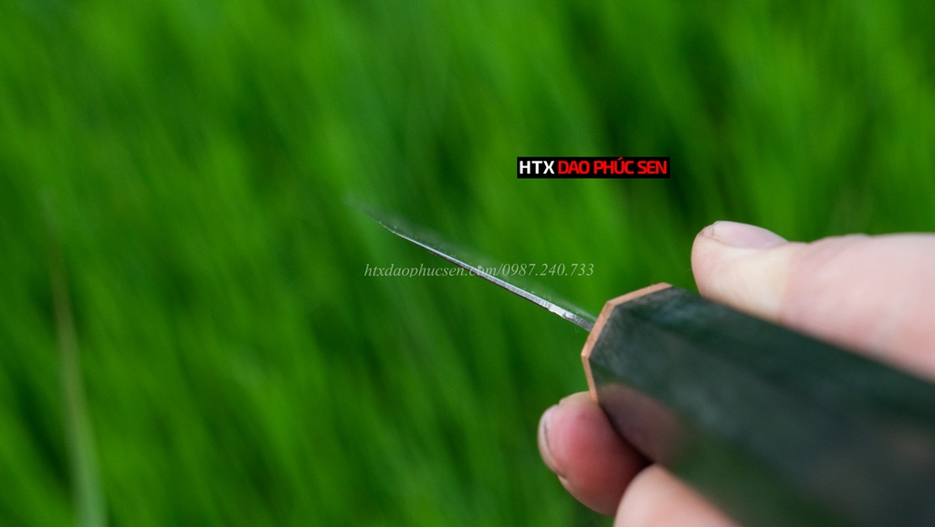Dao lọc thép trắng cao cấp CL10