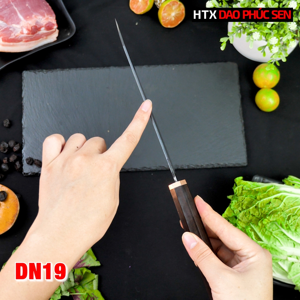 Dao thái lọc DN19