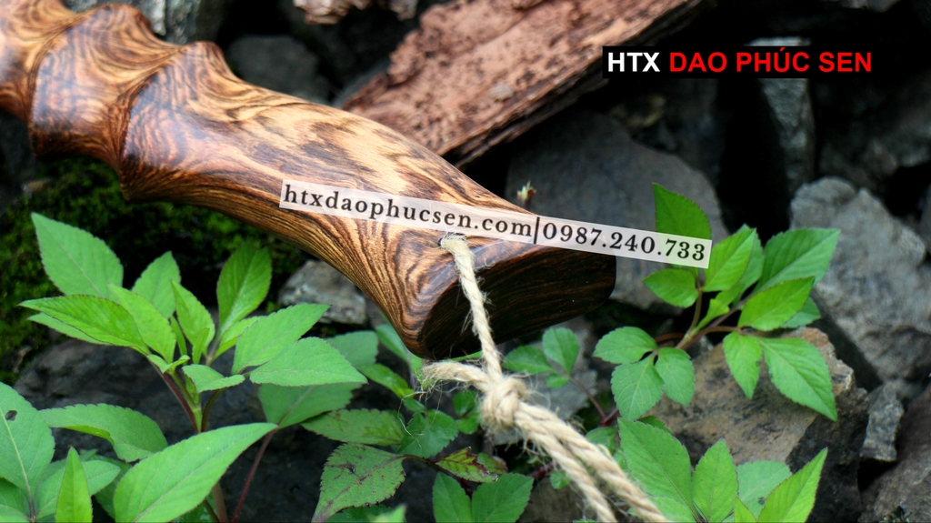 Đồ cắm trại - R02