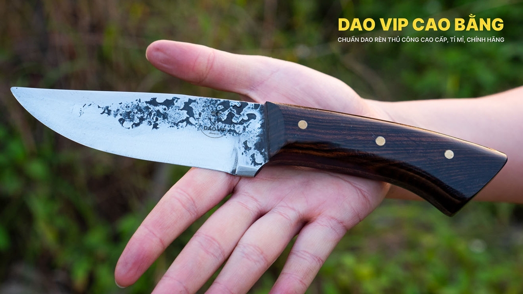 Dao thái lọc nhíp xe DR02 DAO VIP CAO BẰNG