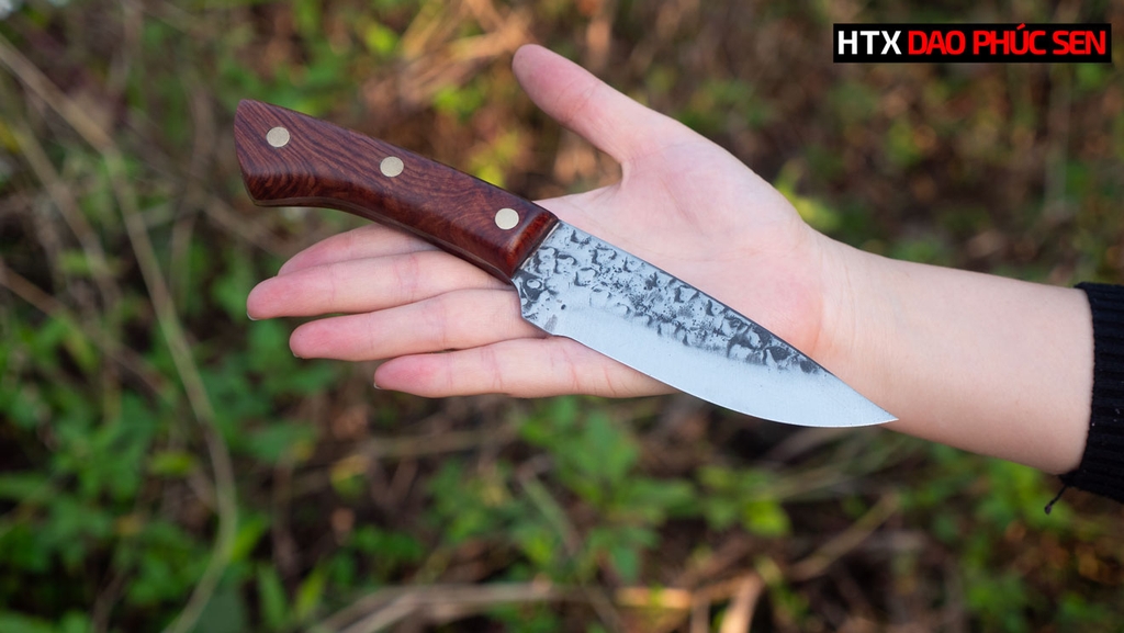 Dao thái lọc nhíp xe DR02LC