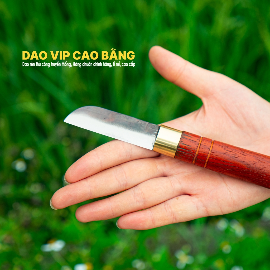 Dao ghép cành cao cấp nhíp xe DGCH
