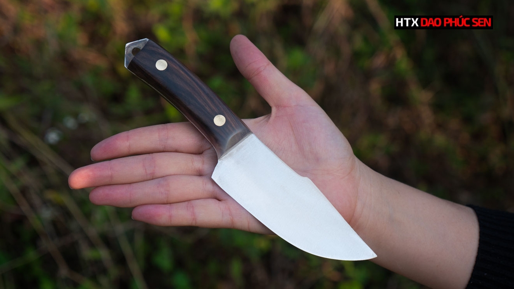 Dao thái lọc thép trắng DR02KLC