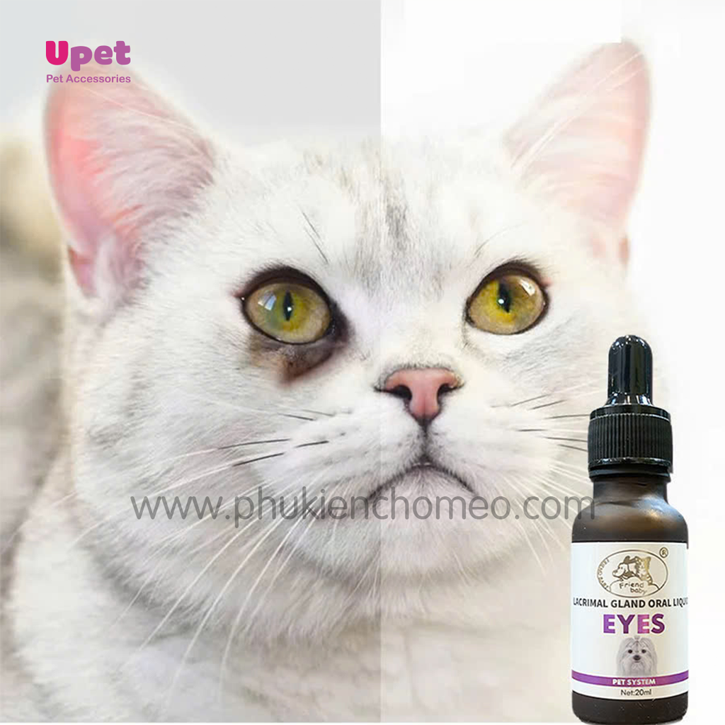 Siro Uống Trị Chảy Nước Mắt Chó Mèo Eyes 20ml Lacrimal Gland Fluid Eyes ...