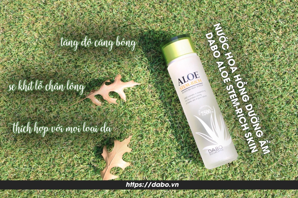 Top 12 nước hoa hồng tốt nhất được yêu thích nhất hiện nay