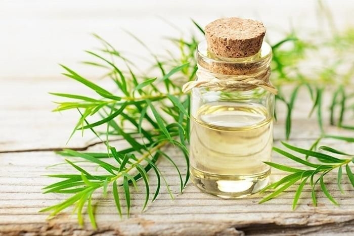Cách trị mụn đầu đen và tẩy da chết từ nguyên liệu chị em nào cũng có trong bếp