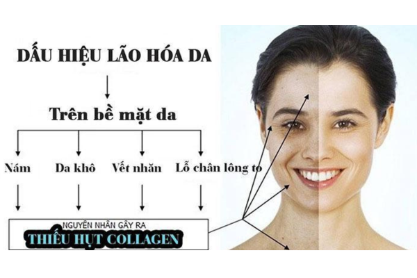 Cách Làm Trẻ Hóa Da, Da Căng Bóng Chỉ Sau 2 Tuần 