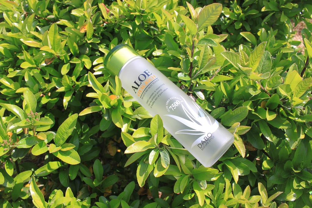 Top các loại nước hoa hồng tốt nhất nên dùng hiện nay