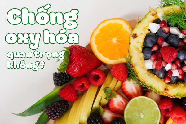 Chống Oxy Hóa Trong Mỹ Phẩm: “Lá chắn” Bí Mật Giúp Da Trẻ Lâu