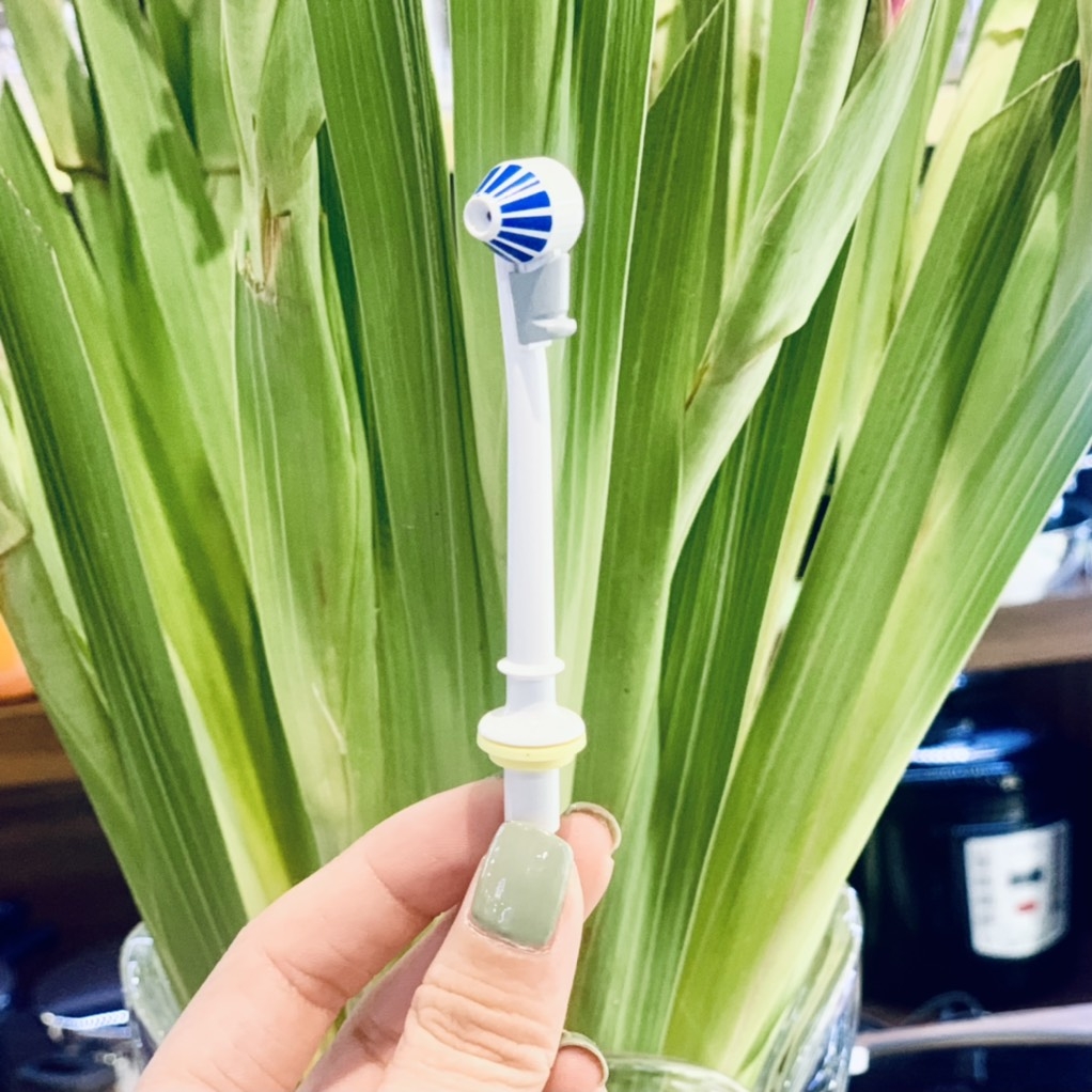 Đầu tăm nước Oral B