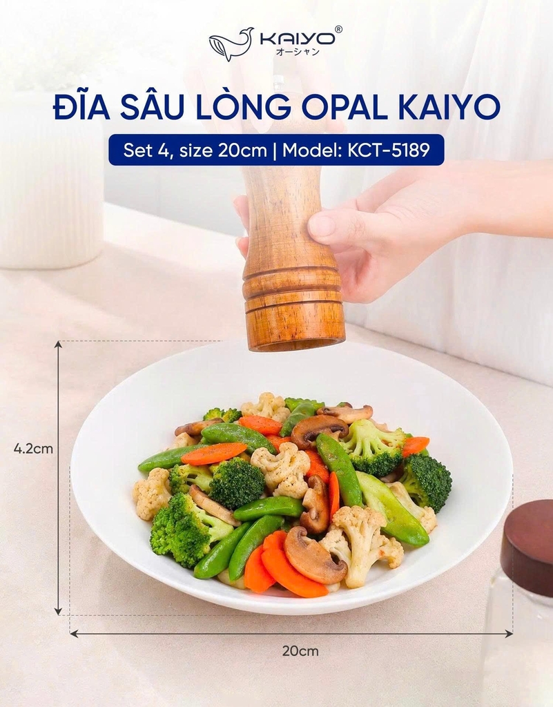 Set 4 đĩa sâu lòng Opal Kaiyo 20cm (KCT-5189)