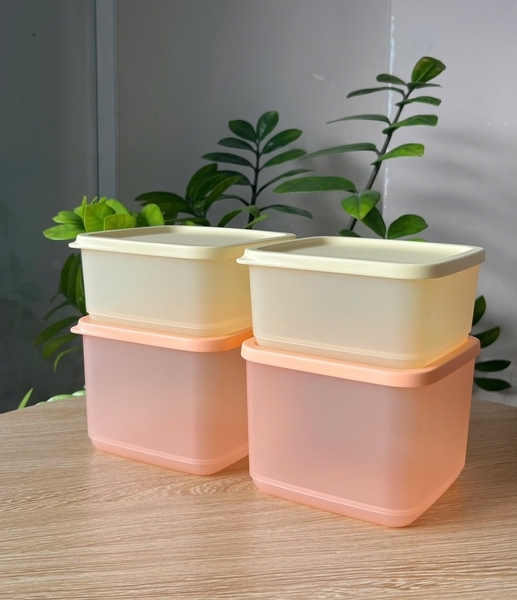 Bộ 4 hộp đựng thực phẩm Tupperware trữ khô và mát Cubix Square 1L & 650ml (411185326)