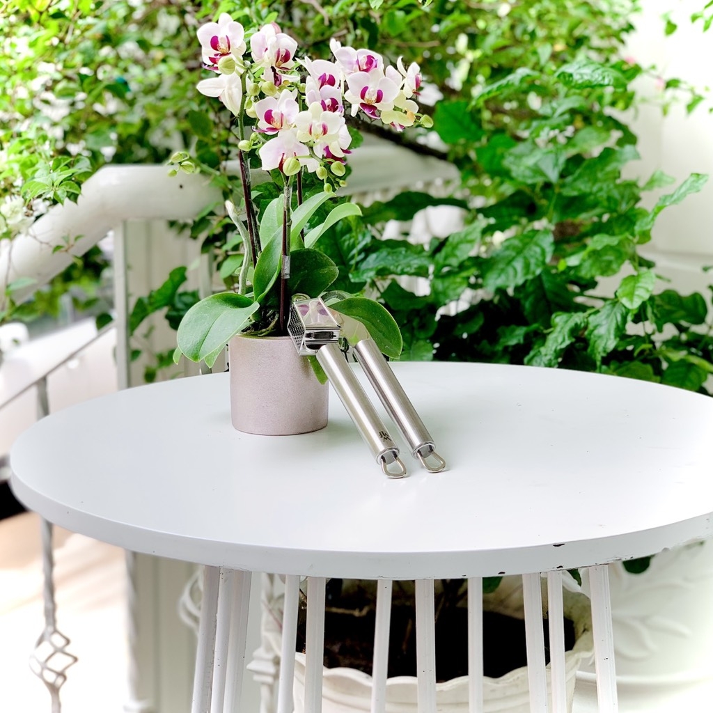 Dụng cụ kẹp tỏi WMF Profi Plus 17.5CM