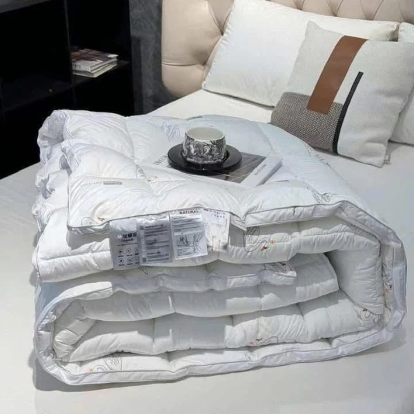 Ruột chăn Moncler