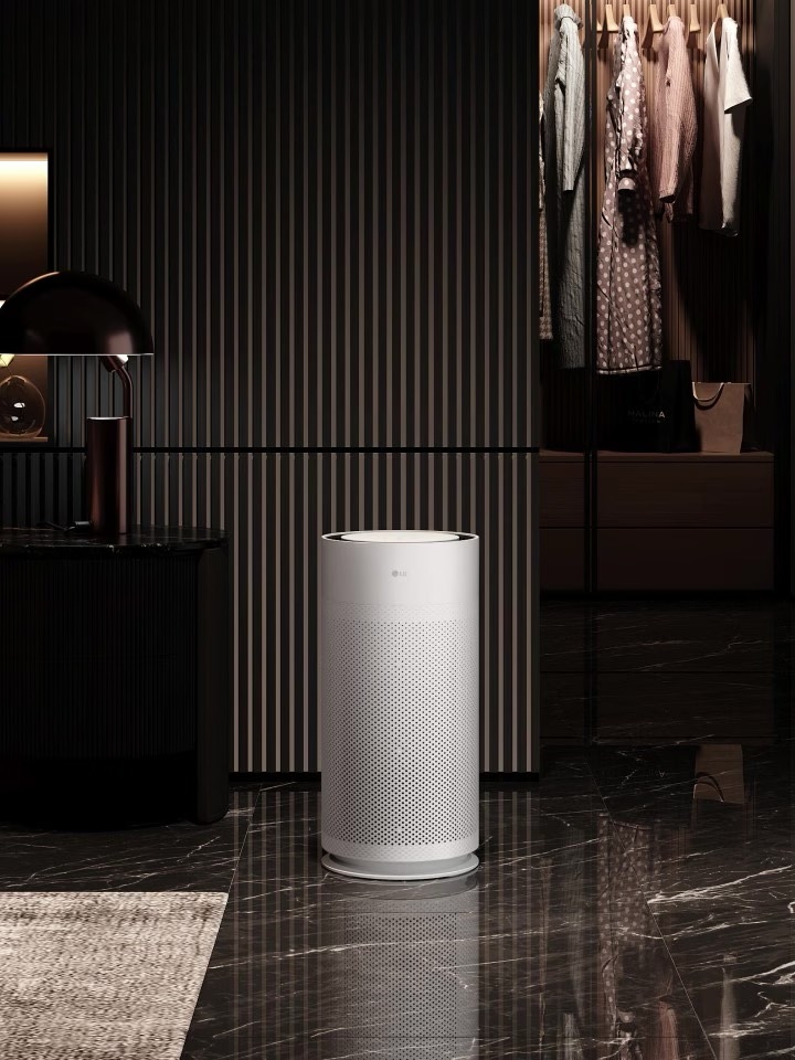 Máy lọc không khí LG AS35GGW10