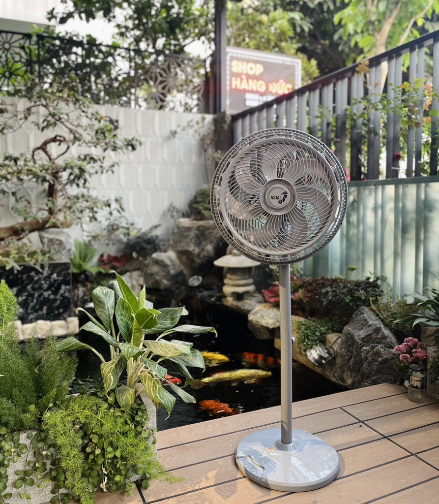 Quạt cây Asia Turbo Decor VY659991