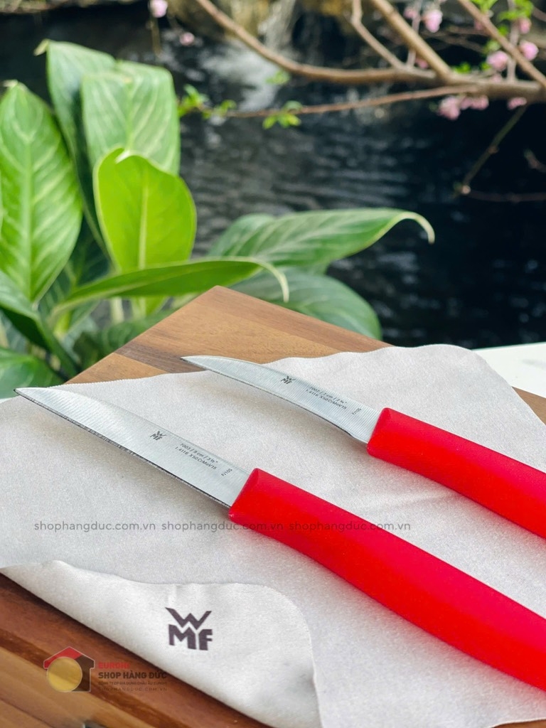 Set 2 dao cắt tỉa WMF