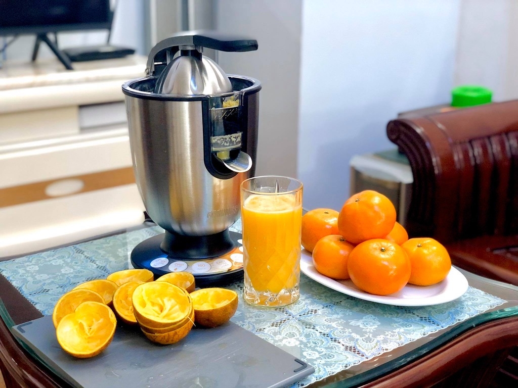 Máy vắt cam Princess Champion Juicer 201852