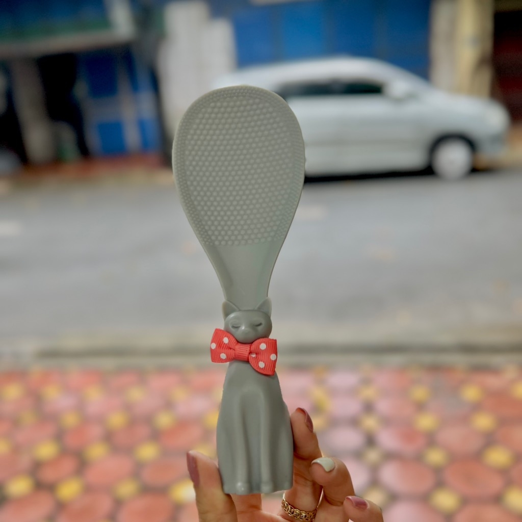 Muôi cơm Hàn Quốc Alphaline màu xám - Made in Korea
