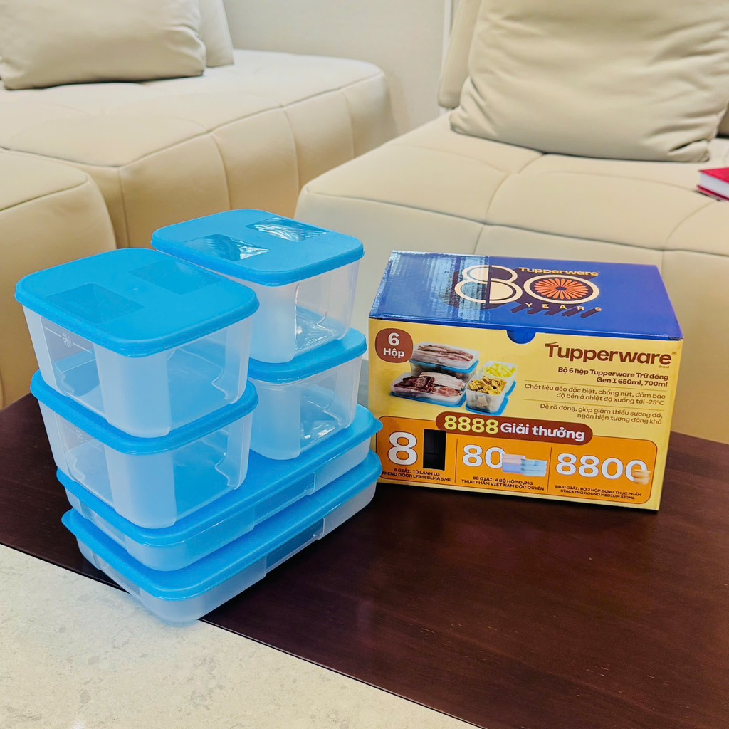 Bộ 6 hộp Tupperware trữ đông Gen I 650ml, 700ml (611187346)