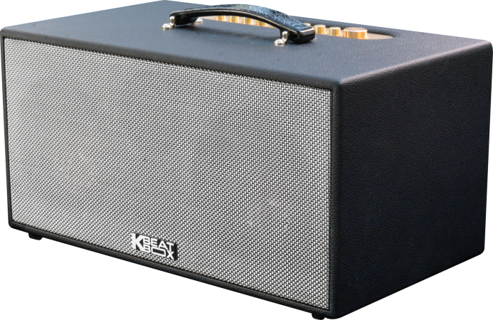 7. Kết Luận: Lựa Chọn Loa Karaoke Phù Hợp Cho Mọi Không Gian