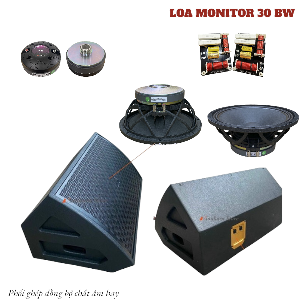 Loa Monitor 30 - 3 tấc, 30cm, 450w-900w BW1245 | Vinakara.com