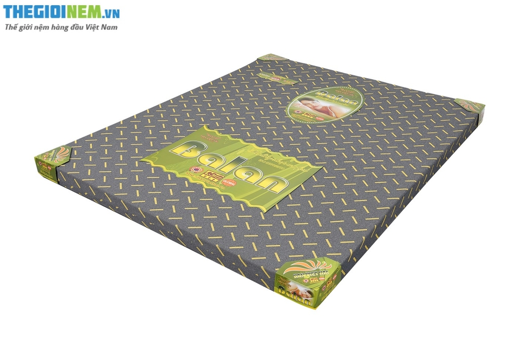 NỆM FOAM ÉP DẺO CAO CẤP BALAN