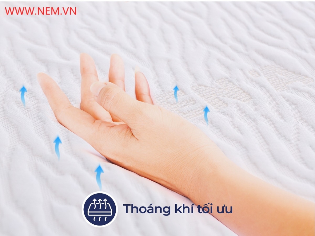 NỆM CAO SU THIÊN NHIÊN LIÊN Á – CLASSIC