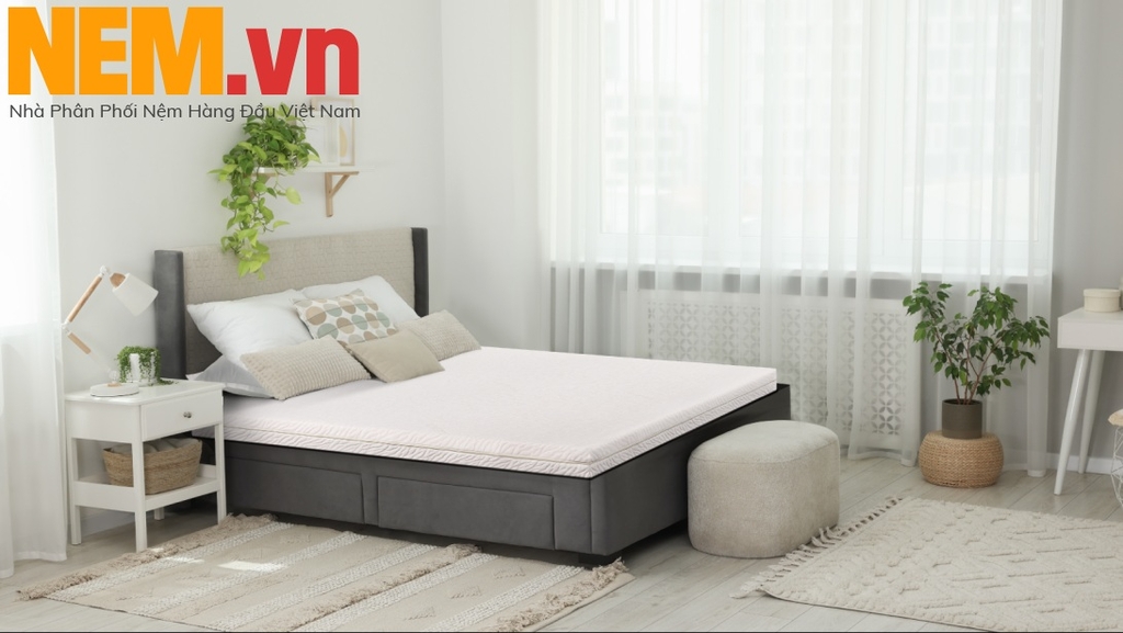 NỆM CAO SU THIÊN NHIÊN LIÊN Á – CLASSIC