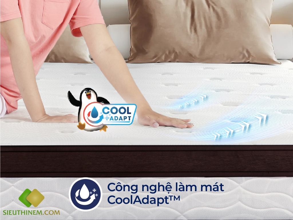 NỆM LÒ XO TÚI LIÊN Á - COCOON 2.0 PREMIUM