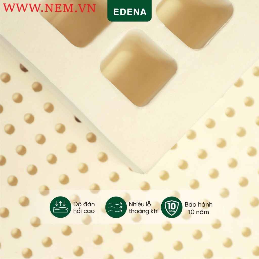 NỆM CAO SU THIÊN NHIÊN EDENA - COOLATEX