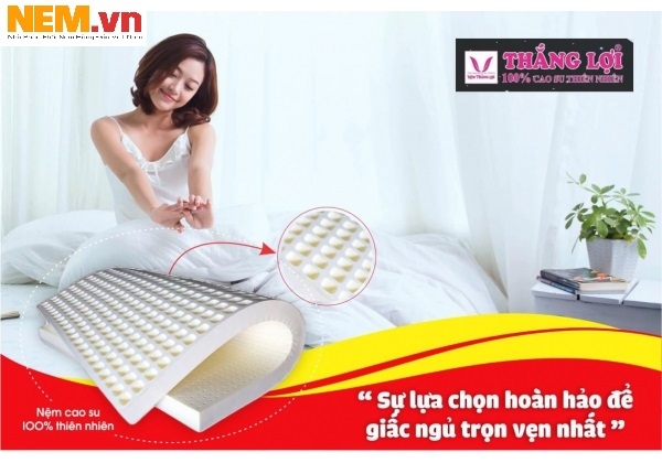 NỆM CAO SU THIÊN NHIÊN THẮNG LỢI