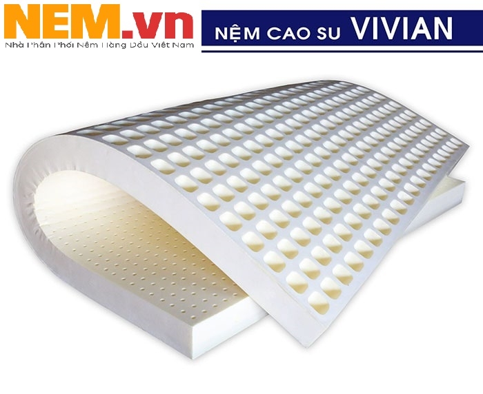 Đơn vị chuyên cung cấp nệm cao su chất lượng và uy tín nhất Cstn-vivian