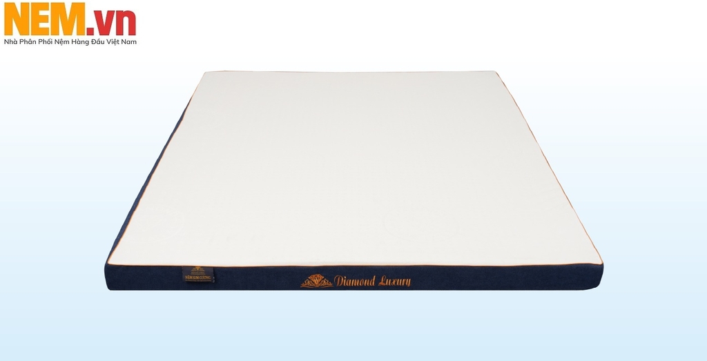 NỆM CAO SU KIM CƯƠNG 2 MẶT LỖ – DIAMOND LUXURY